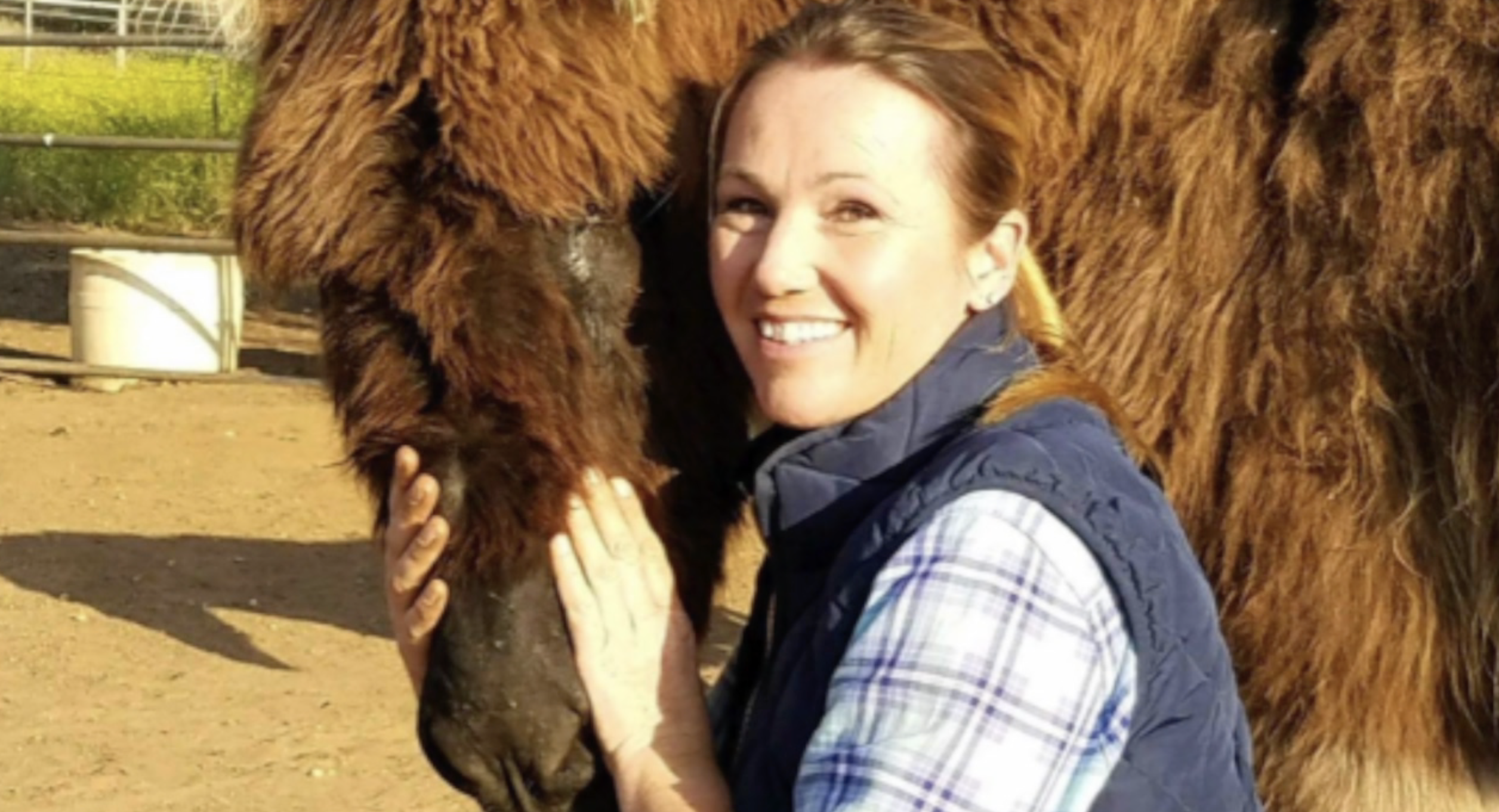 Horse veterinarian loses 'entire business' in Fallbrook truck theft