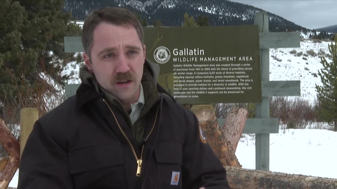 MORGAN JACOBSEN WINTER