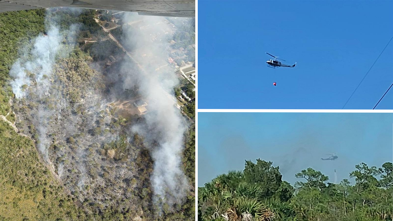 brush fire.png