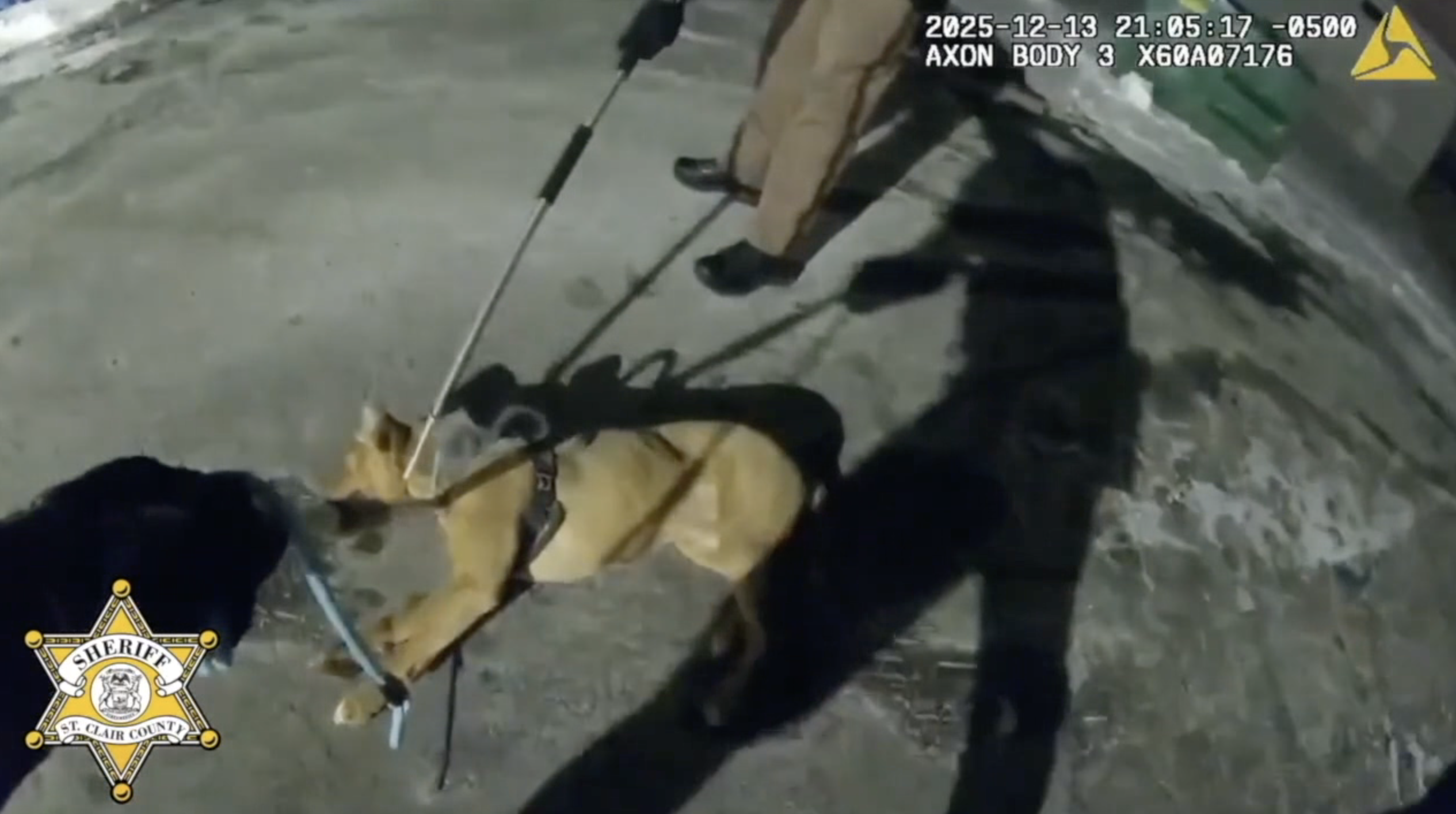 Screenshot 2025-12-19 at 6.51.12 PM.png