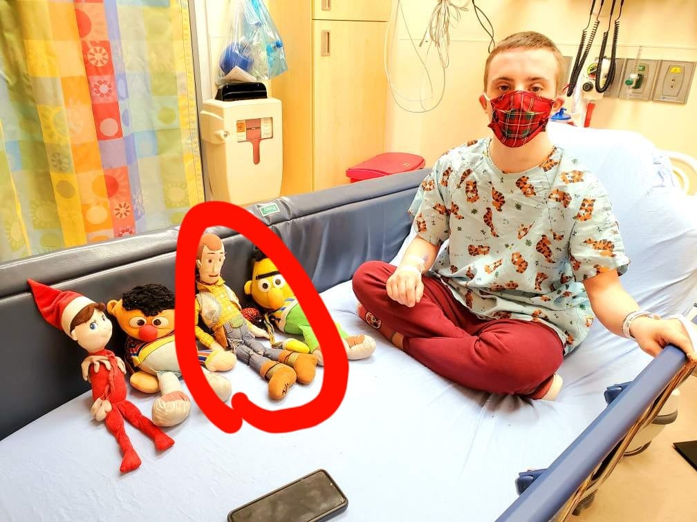 Brett help lost Woody toy