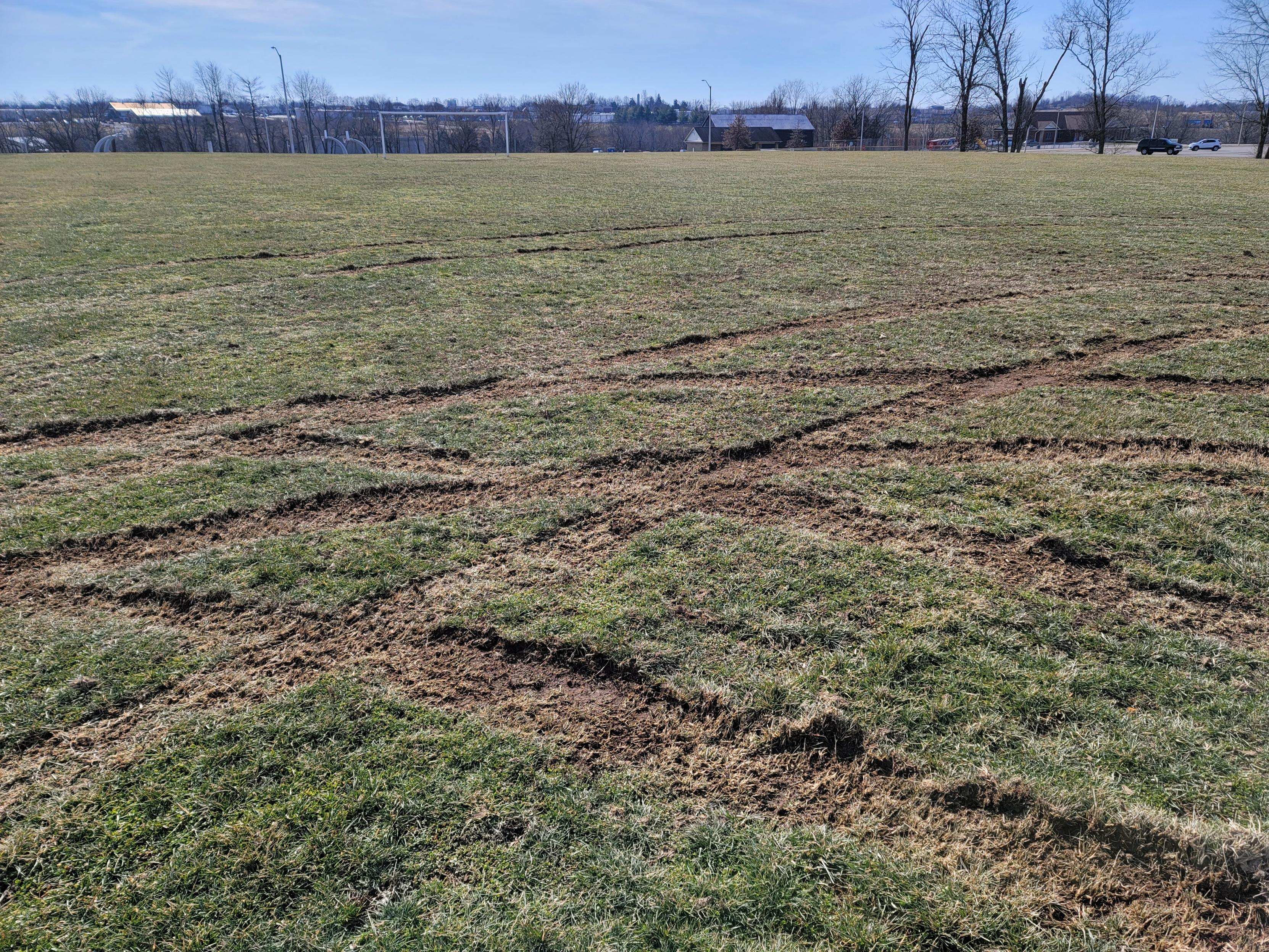 anderson county park.jpeg