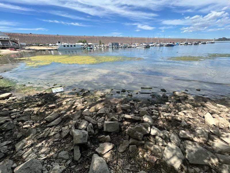 toxic algae bloom_cherry creek state park.jpg