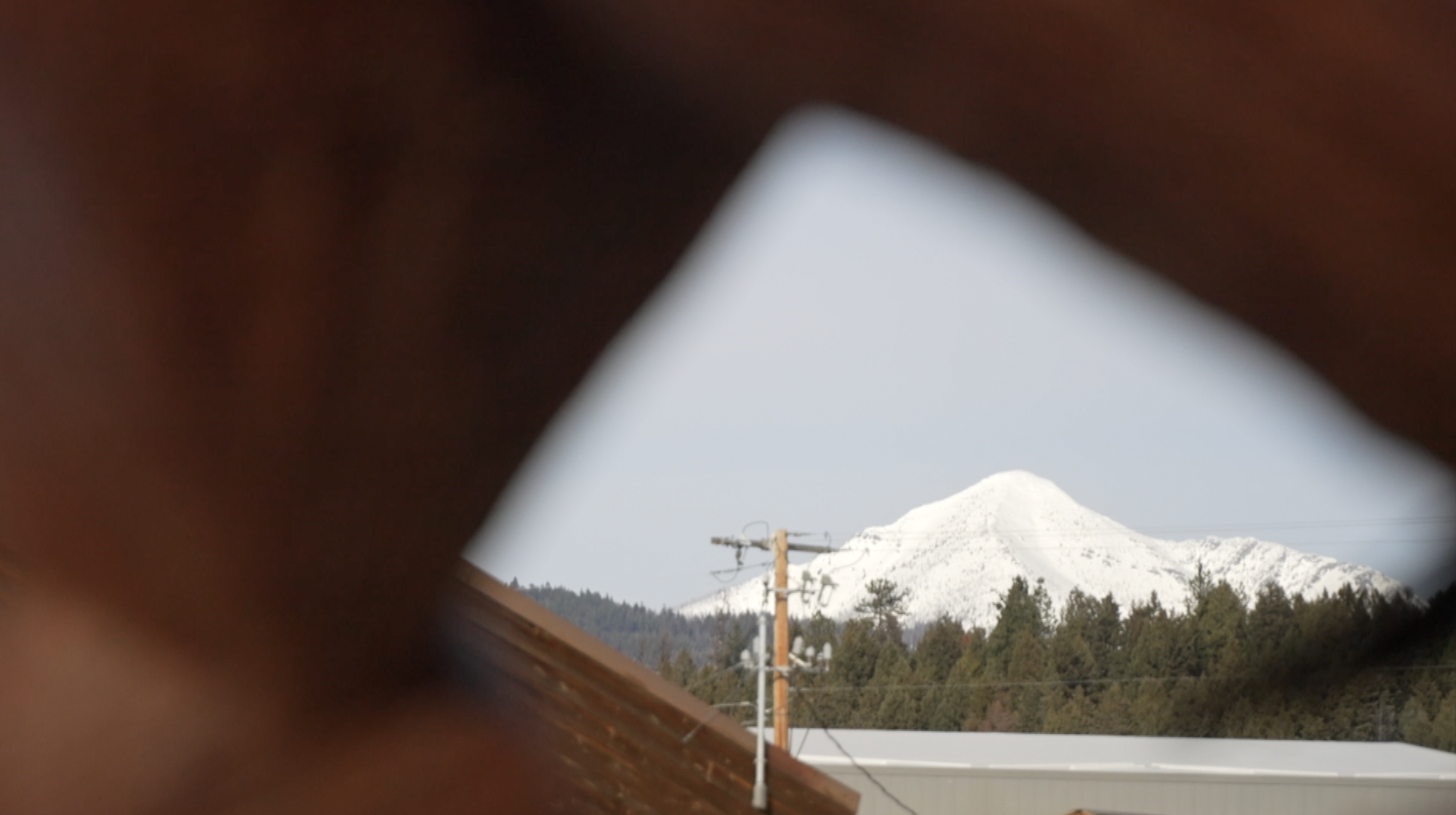 Seeley Swan Book Project