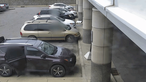 Animated GIF-downsized_large.gif