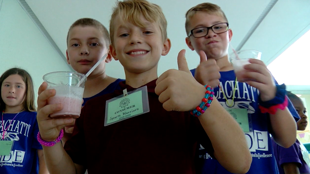 Micro Society Chocachatti Elementary