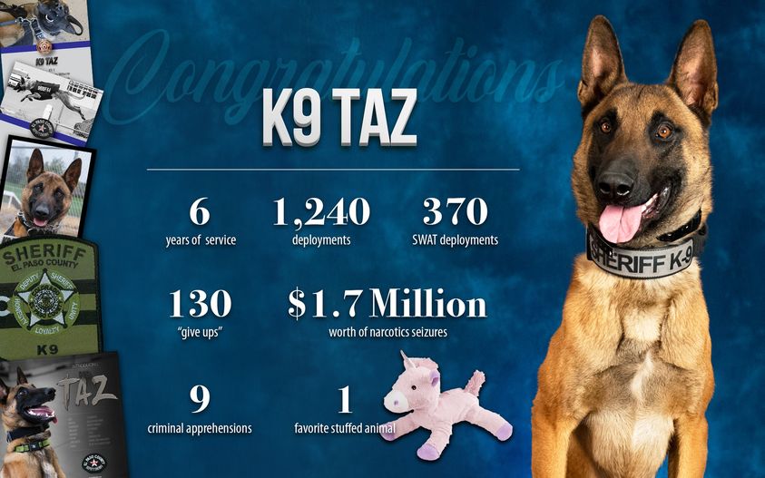 K9 Taz Stats