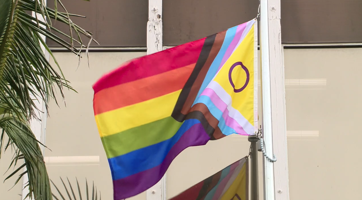 San Diego Community College pride flag raised up