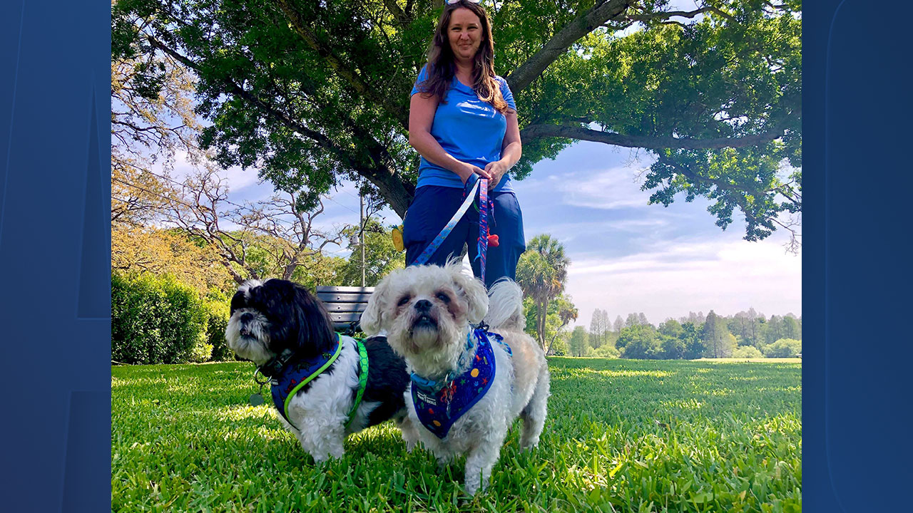 dog-walking.jpg