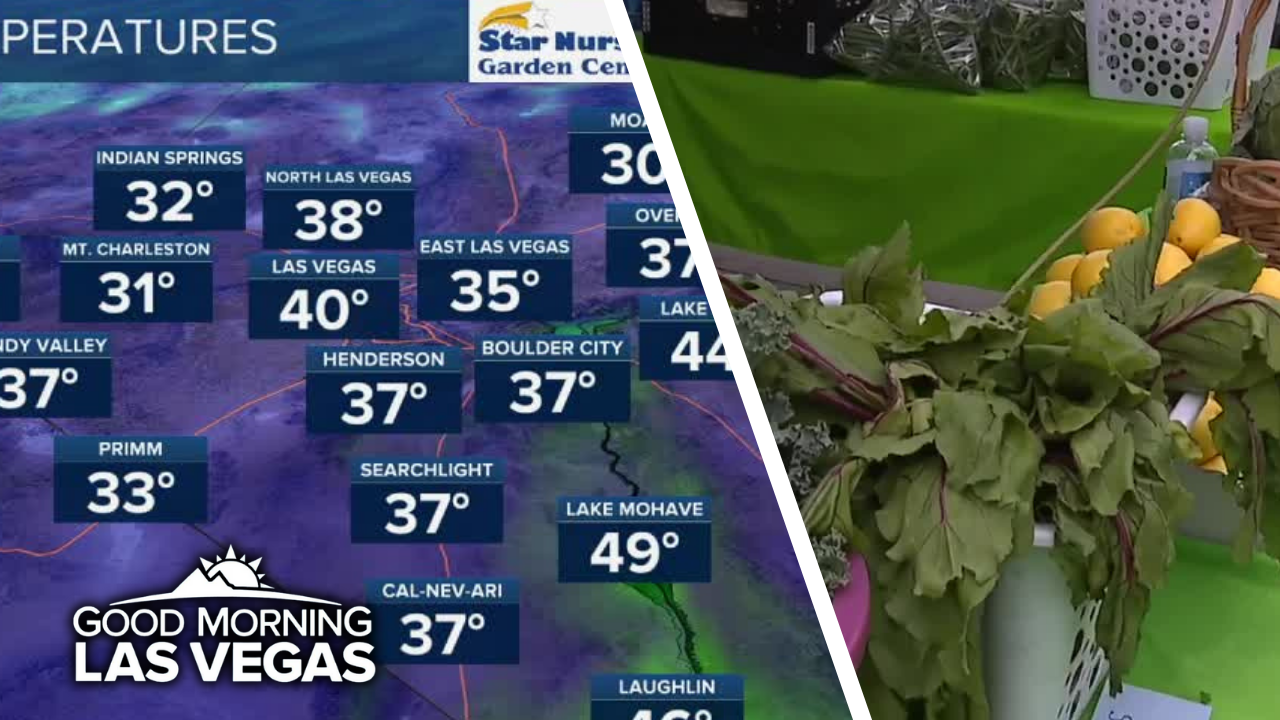 Good Morning, Las Vegas: Waking up to coldest temperatures so far this fall, pop-up produce stand today