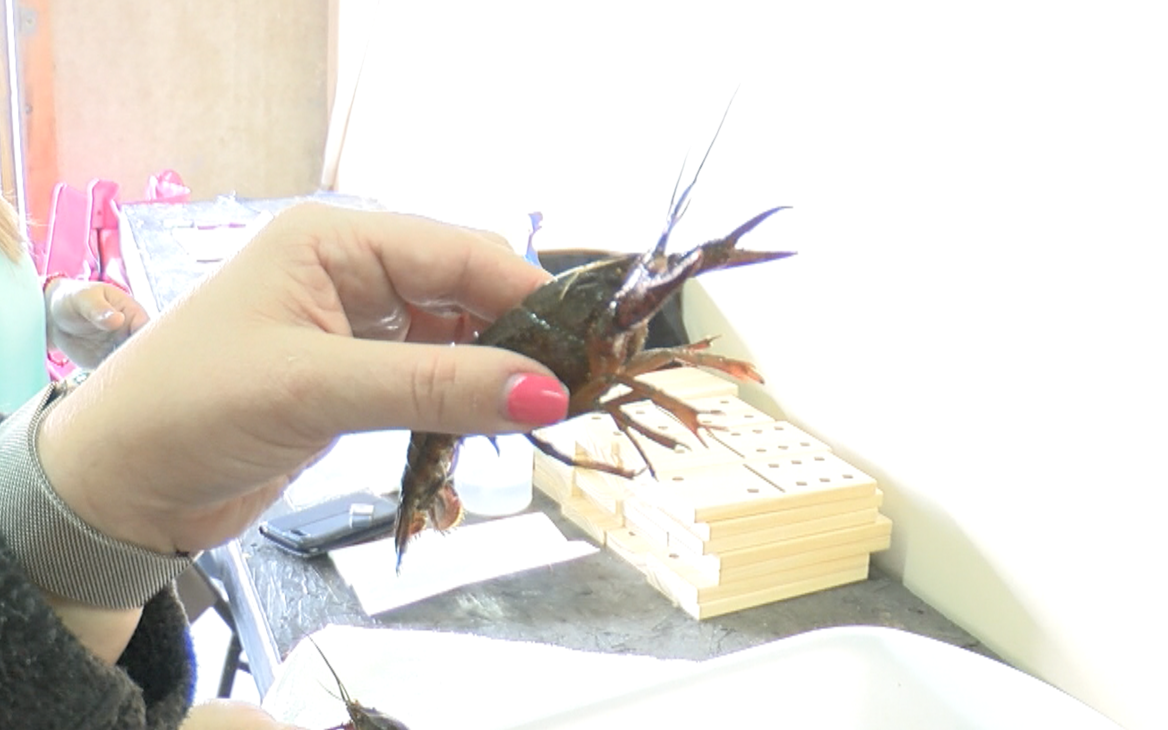 Deep freeze's effect on crawfish supply lingers