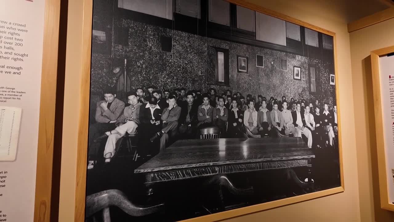 draft resisters exhibit.jpg
