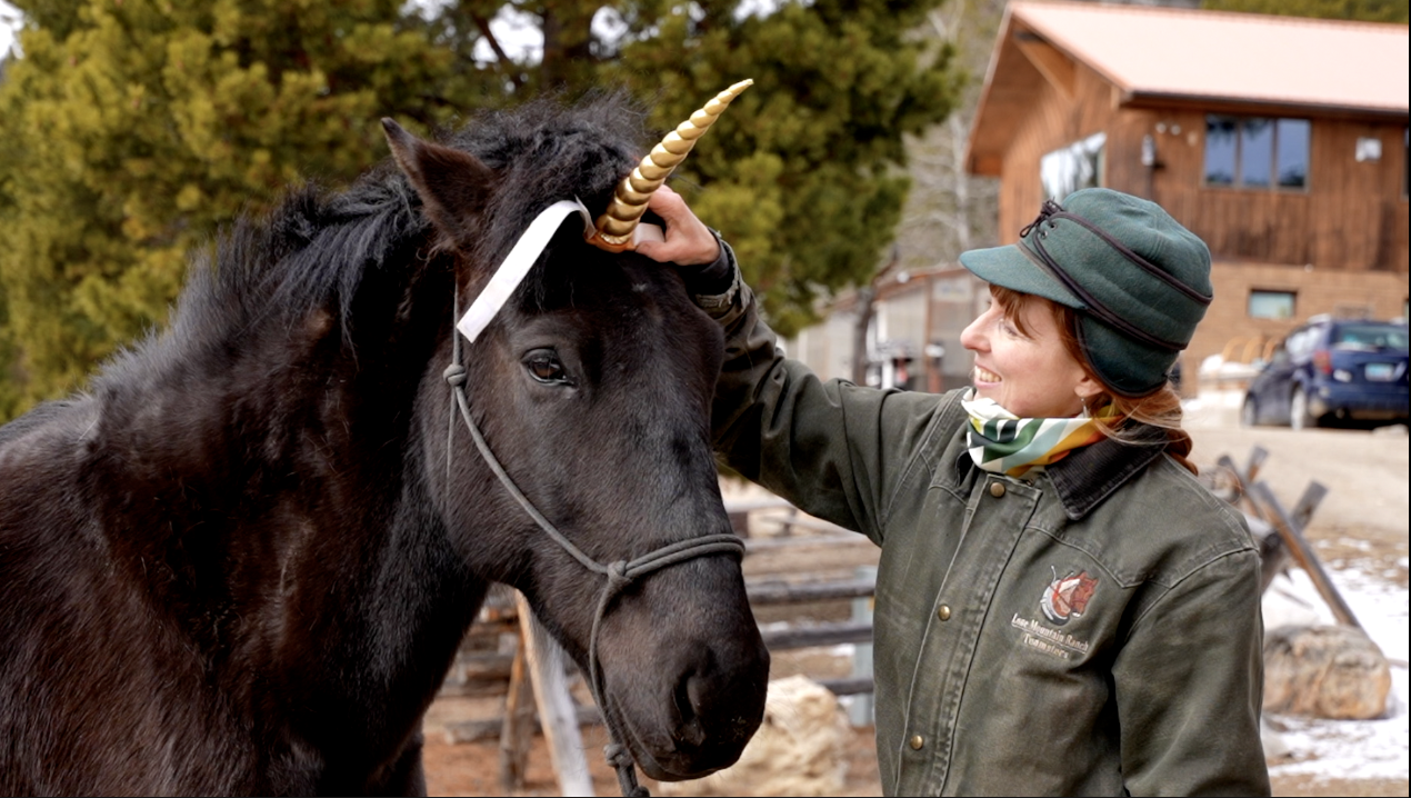 Mesquite the mustang is rehabbing from a nail injury in time for Butte's St. Paddy's parade 