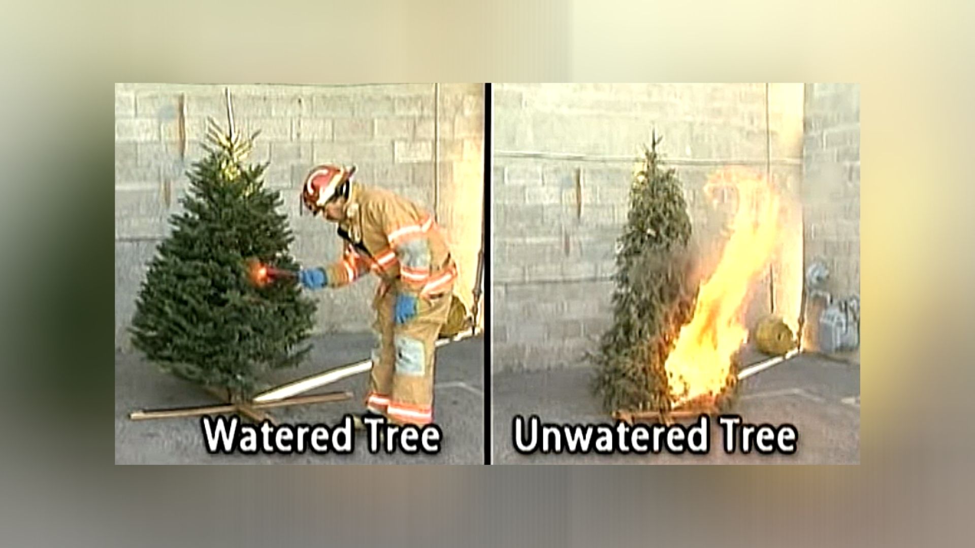 Christmas Tree fire safety.jpg