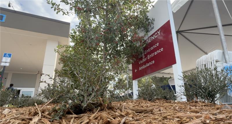 Screenshot 2025-12-13 at 12.41.02 PM.png