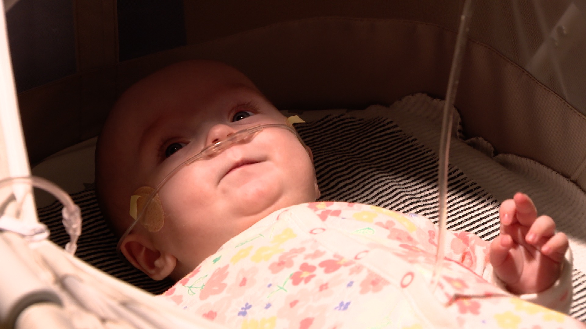 Newborn Hope 50th anniversary