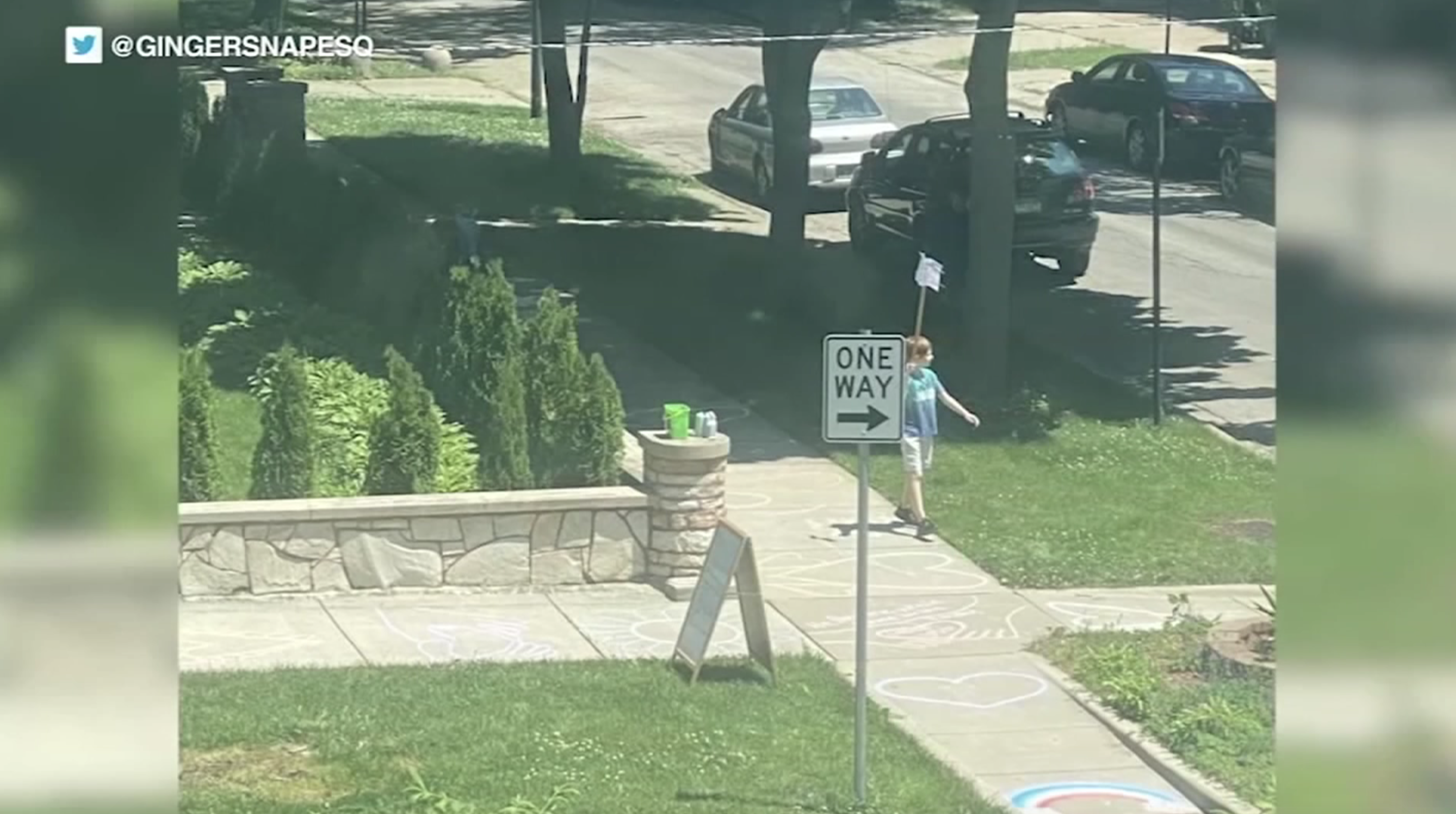 9-year-old boy holds his own Black Lives Matter protest outside his home