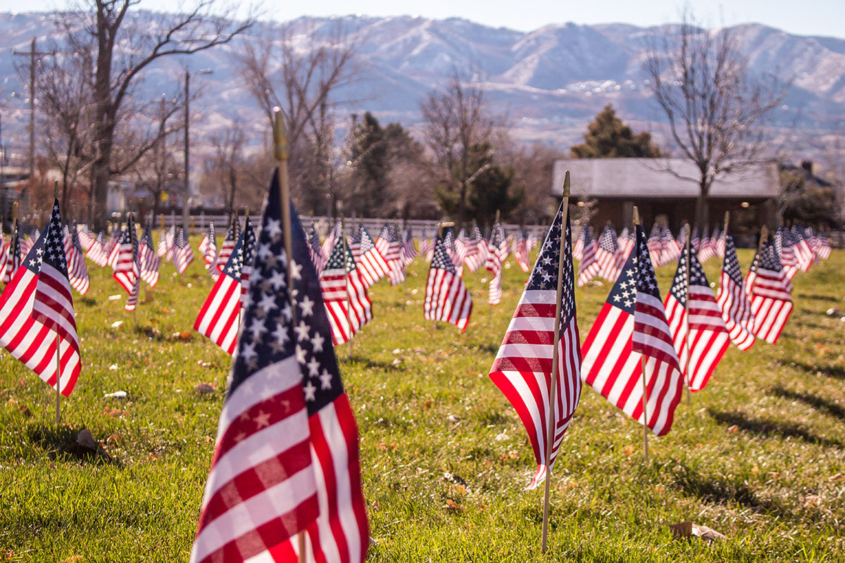 Veterans Day 2022-02 field of flags small.jpg