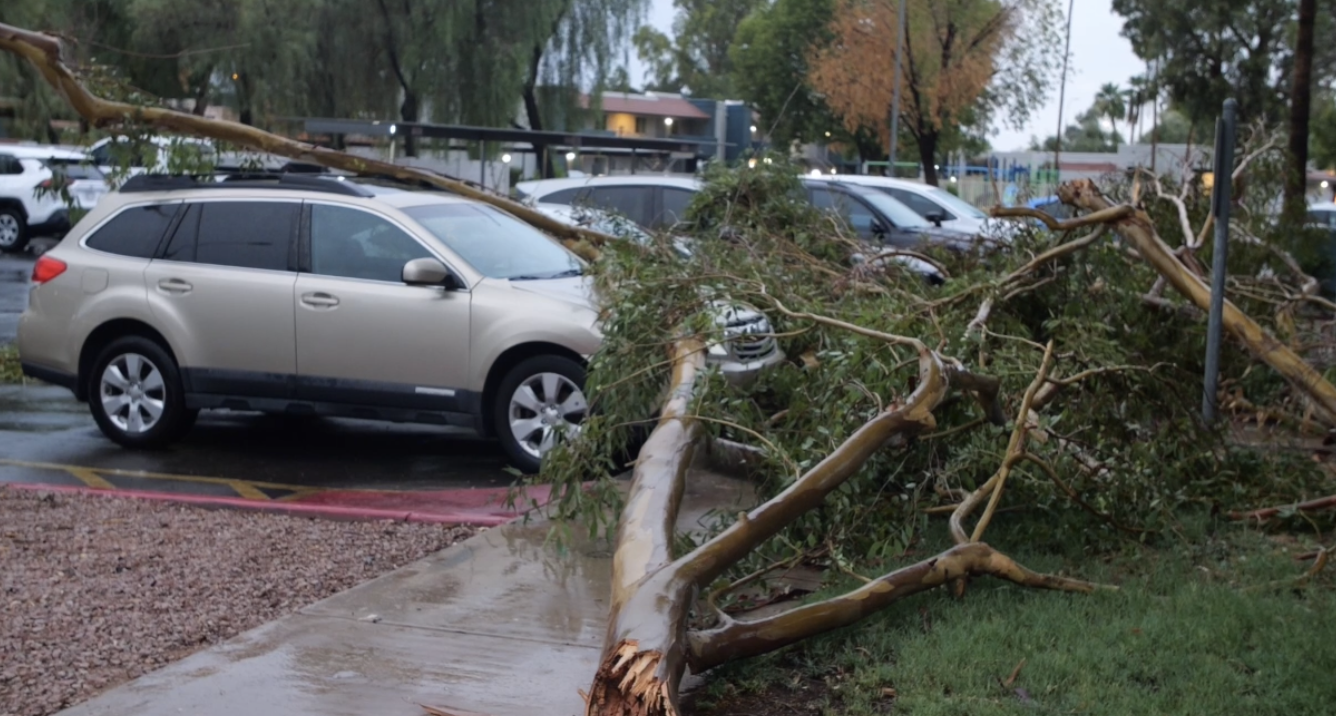 Screenshot 2025-08-26 at 7.22.16 AM.png