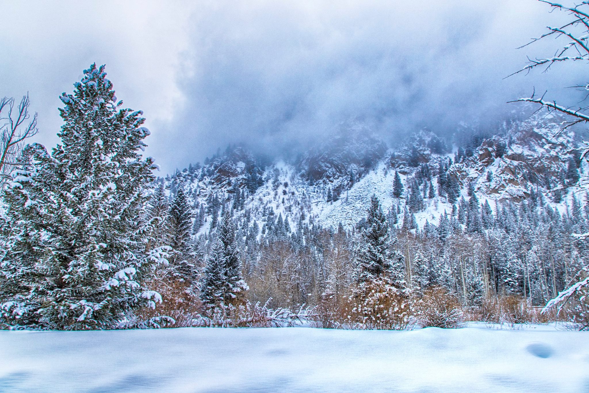 cottonwood lake_joe randall.jpg