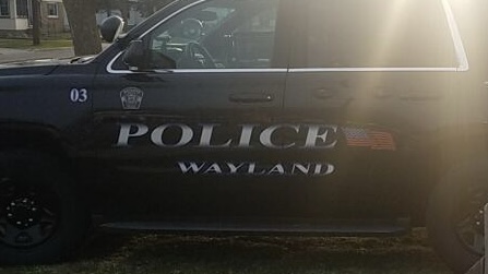 Wayland Police