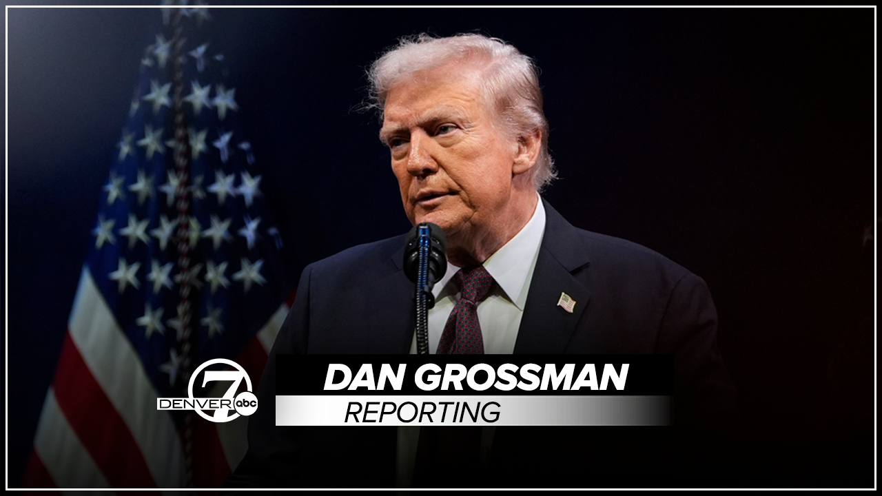 young republicans dan grossman.png