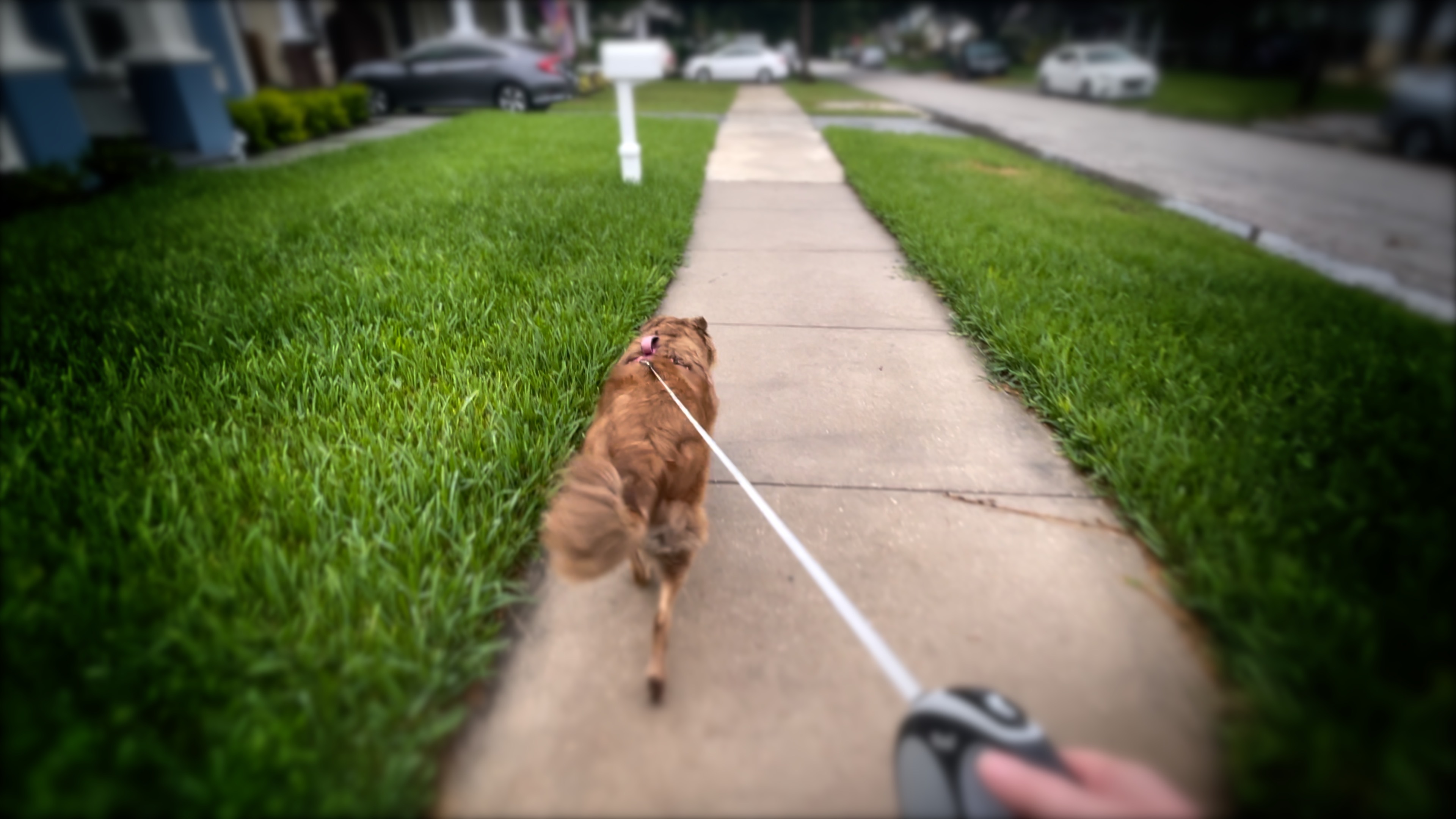 sidewalk infrastructure (1).jpg
