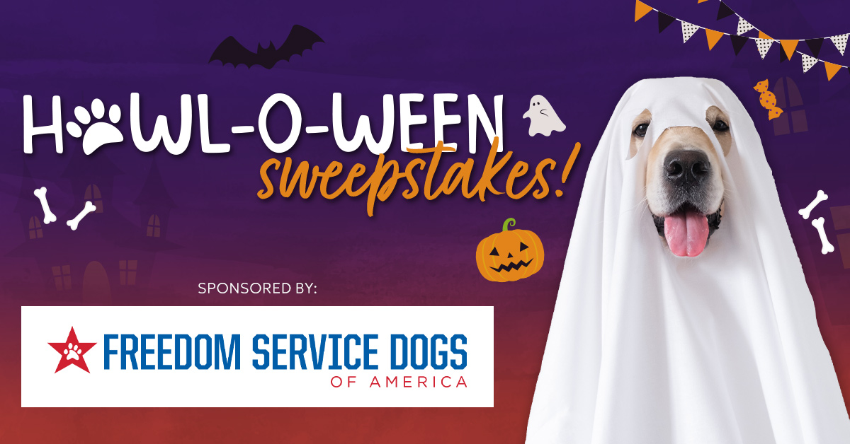 KMGH-1502458192-FreedomServiceDogsHowloweenSweepstakes_1200x628.jpg