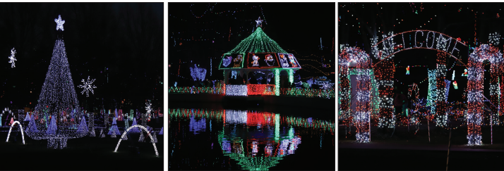 PHOTOS: Rhema lights 