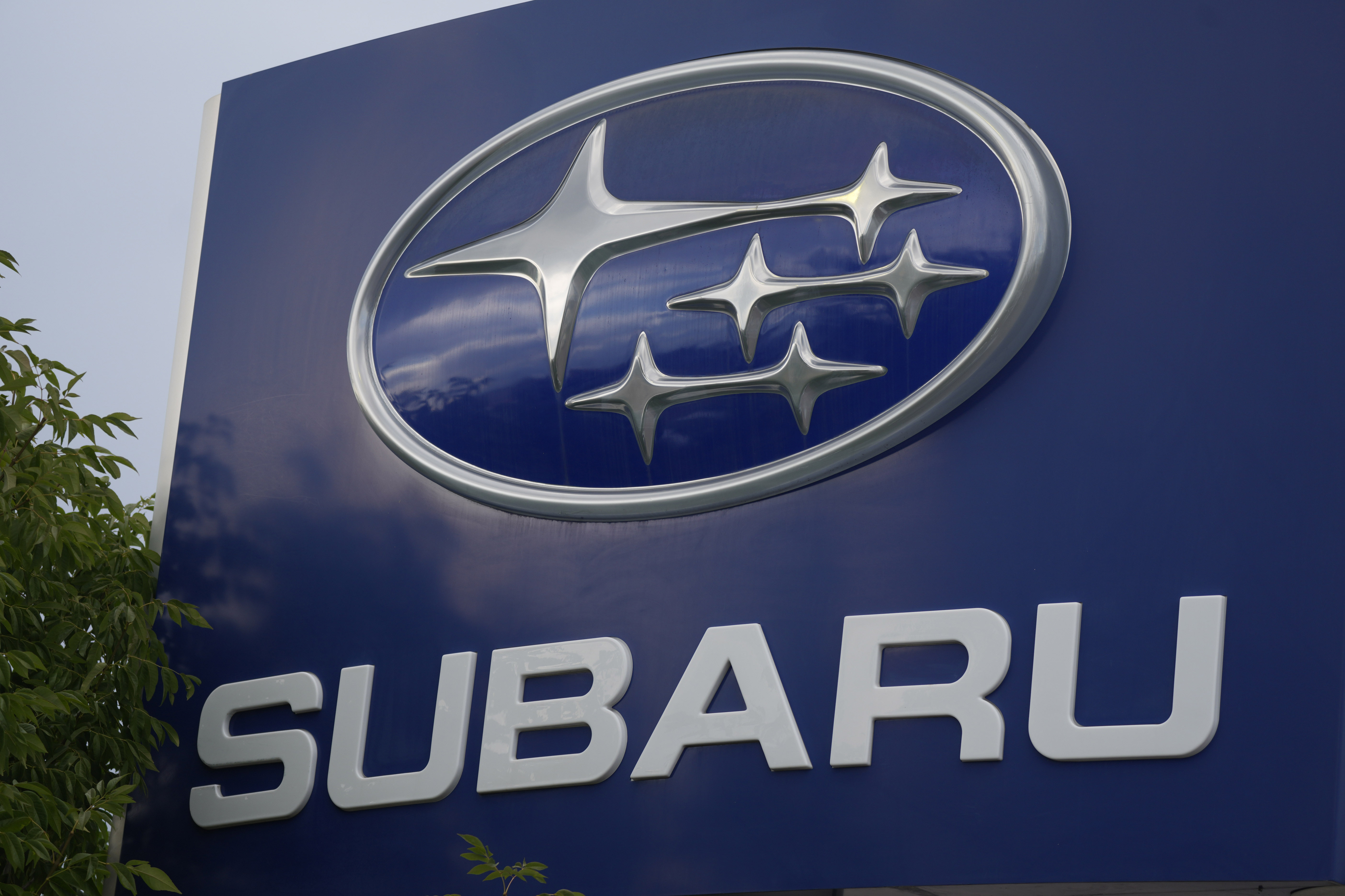 Biz New Car Sales