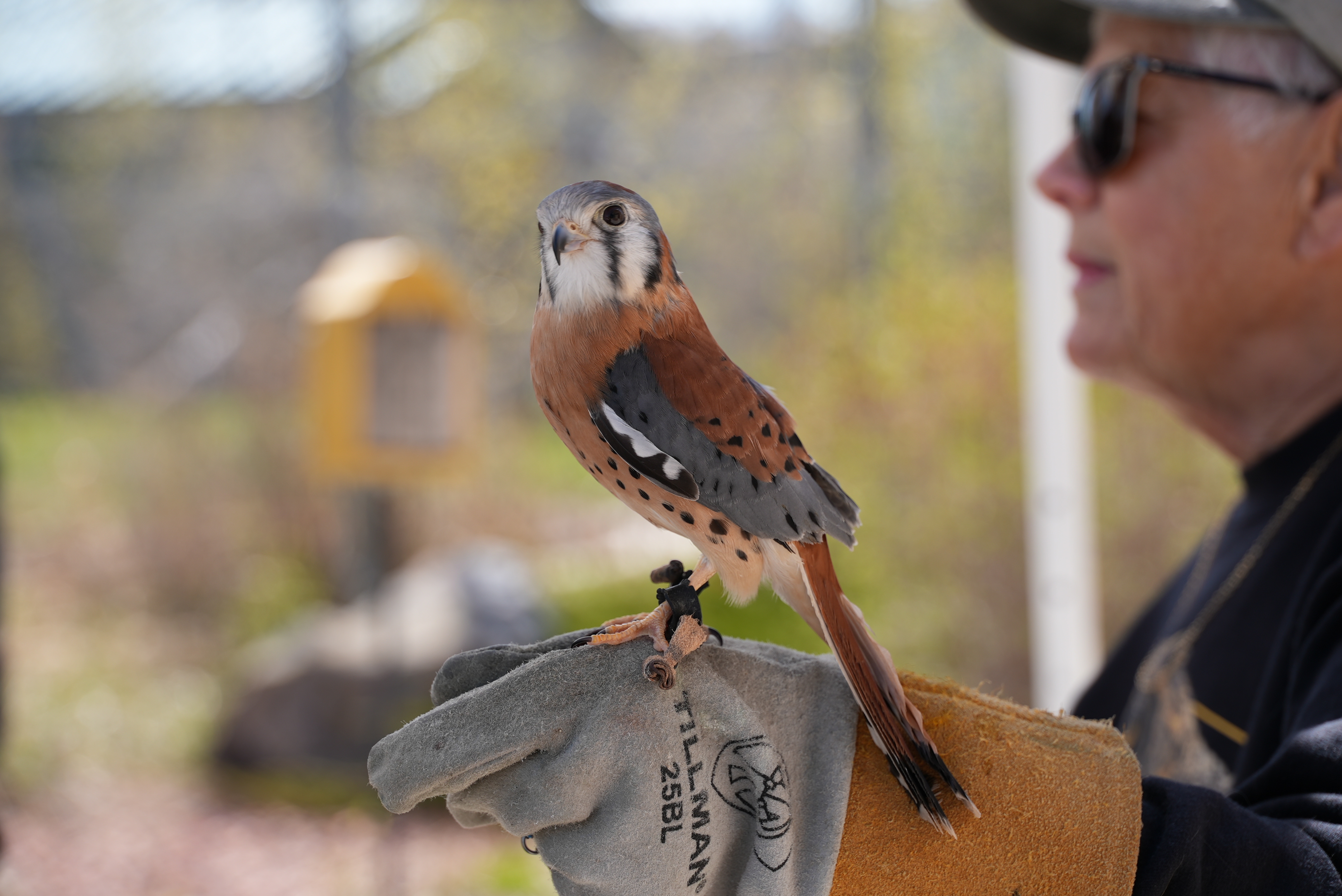 Bird at Montana Wild 