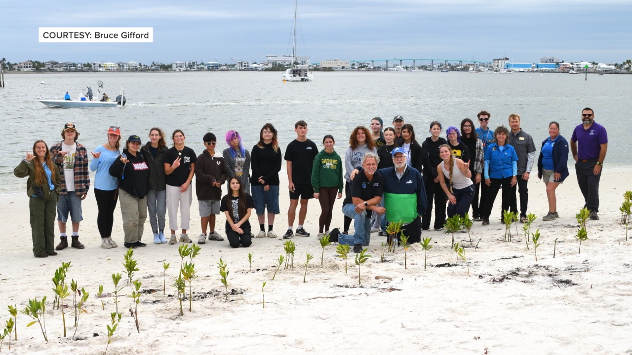 FMB FGCU MANGROVE PLANTING THUMBNAIL.jpg