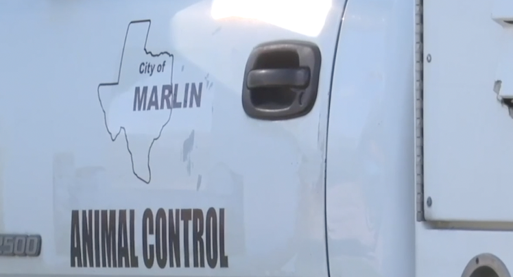 Marlin Animal Shelter