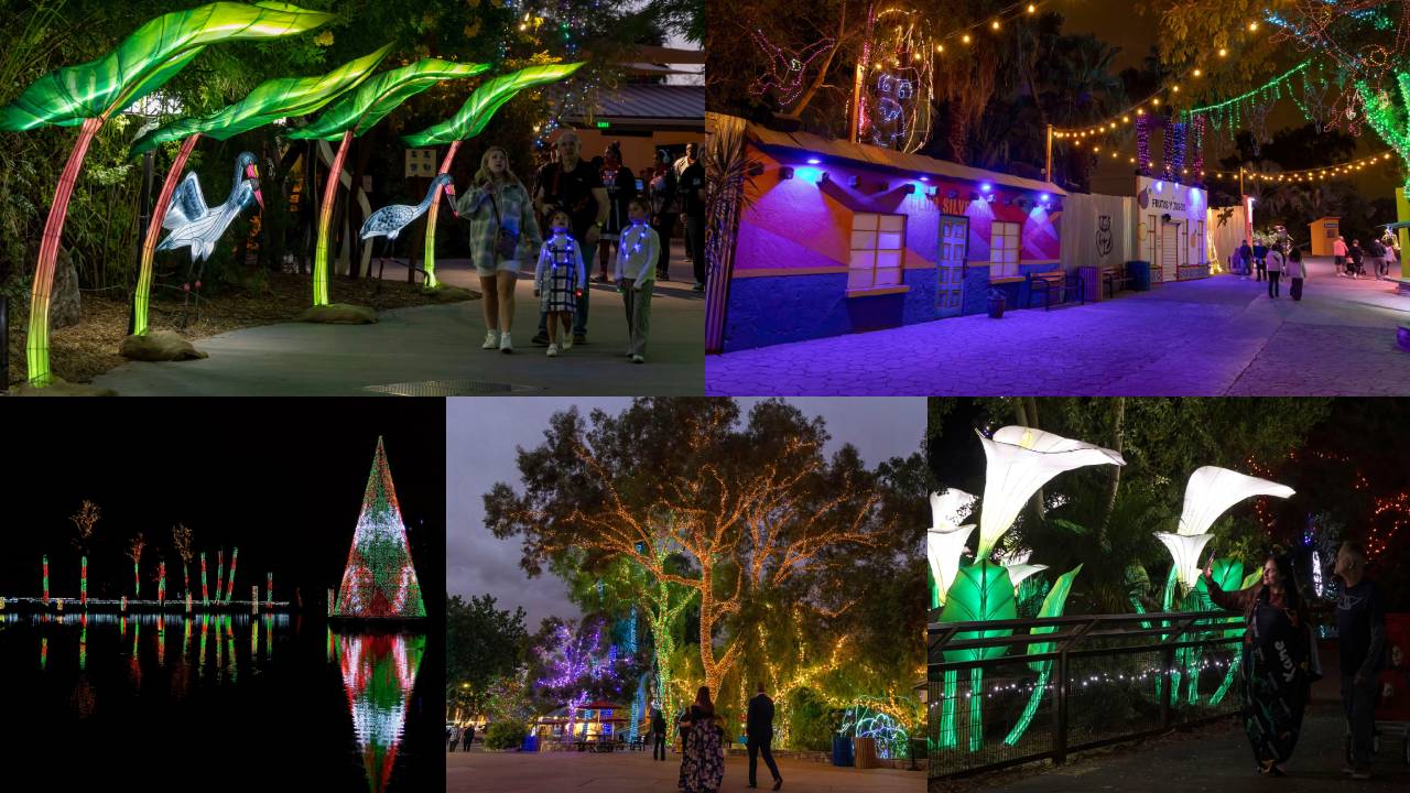 2024 Phoenix ZooLights. 