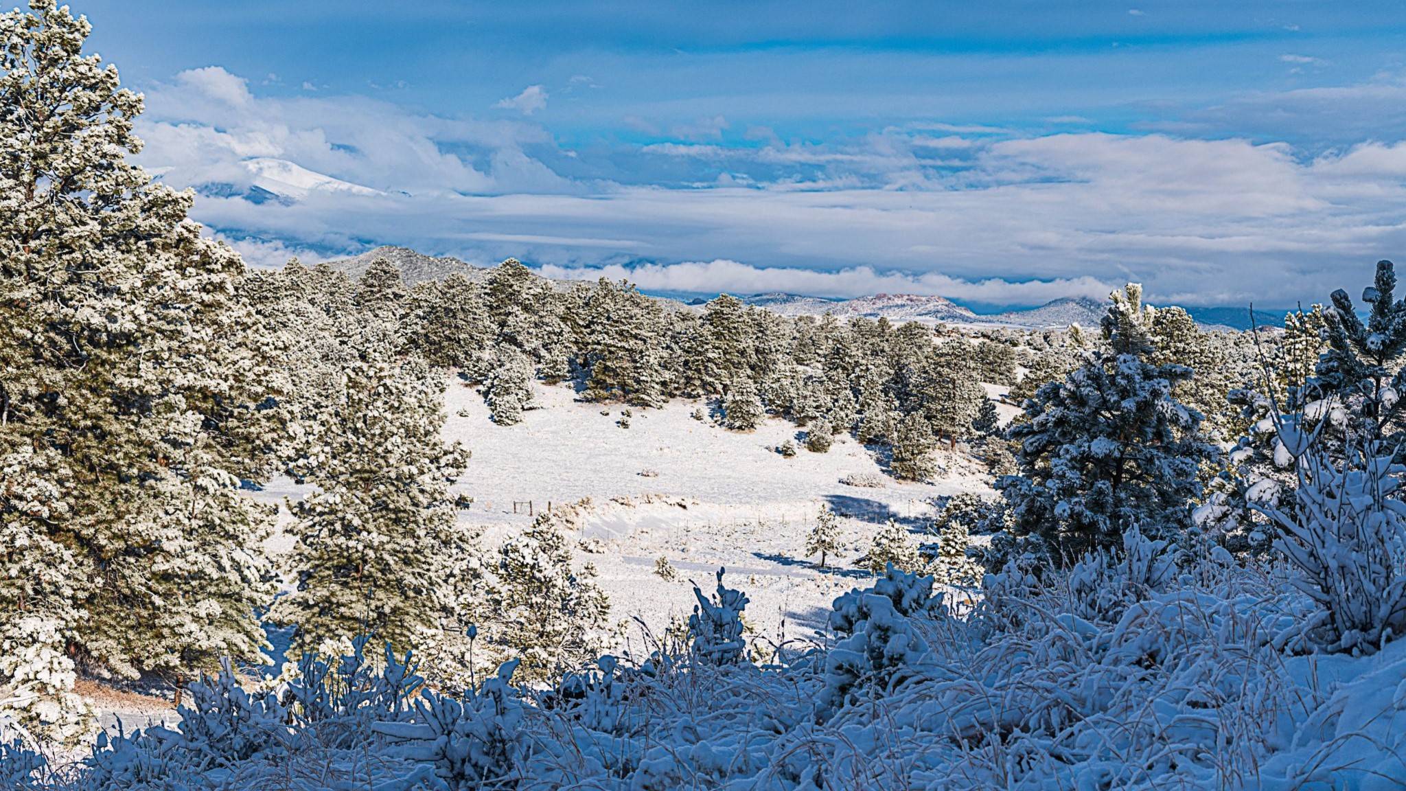 Westcliffe CO snowy morning Steve Shugart
