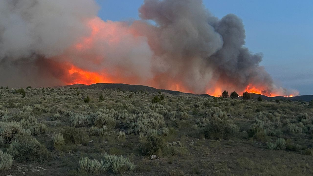 Grapevine fire 2.jpg