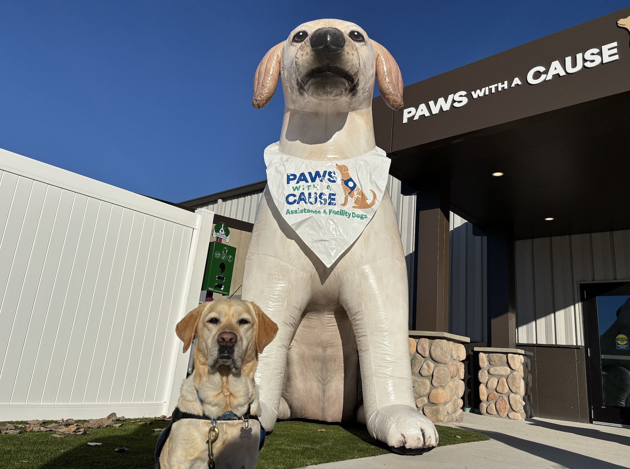 Screenshot 2025-11-06 at 9.21.07 AM.png