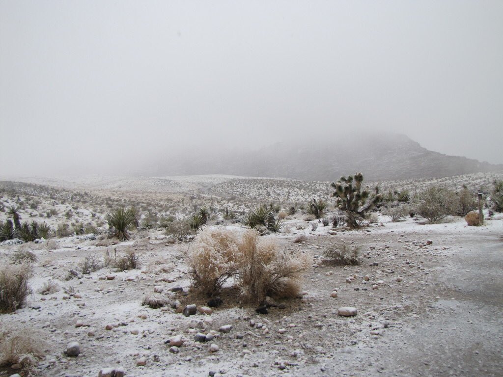 red rock canyon.jfif