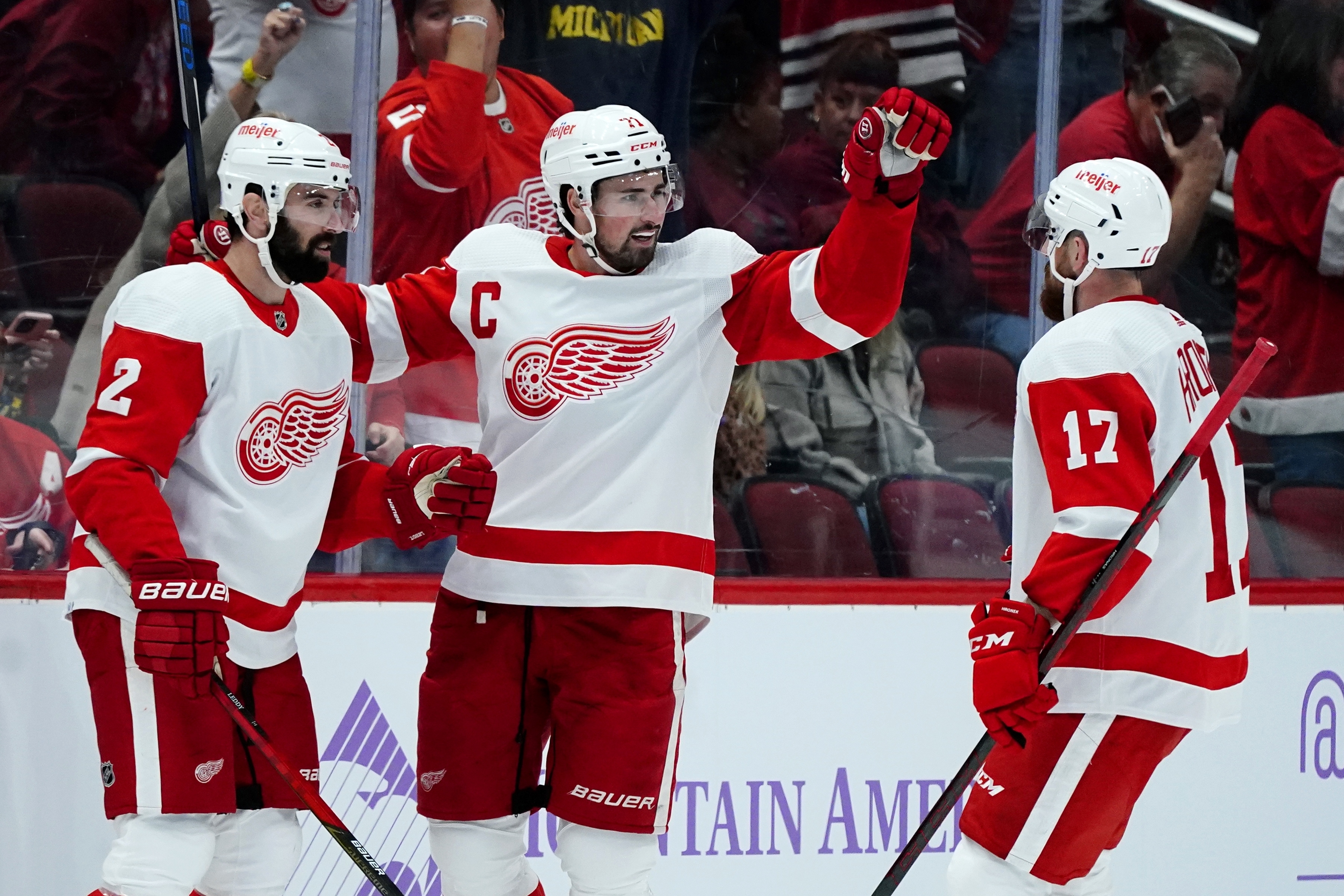 Red Wings Coyotes Hockey