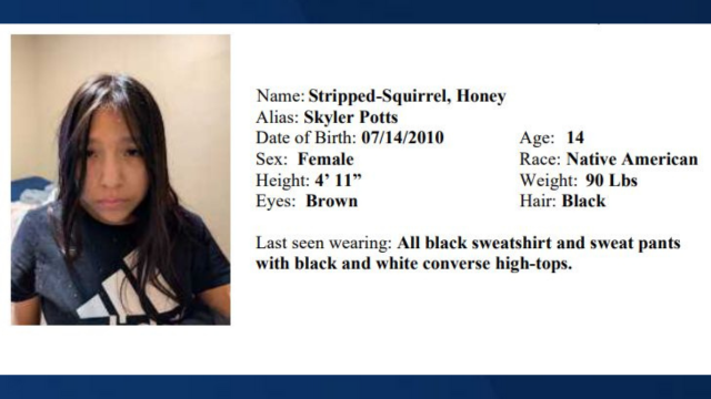 Honey Stripped-Squirrel
