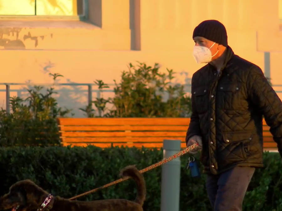 dog_walk_mask.jpg