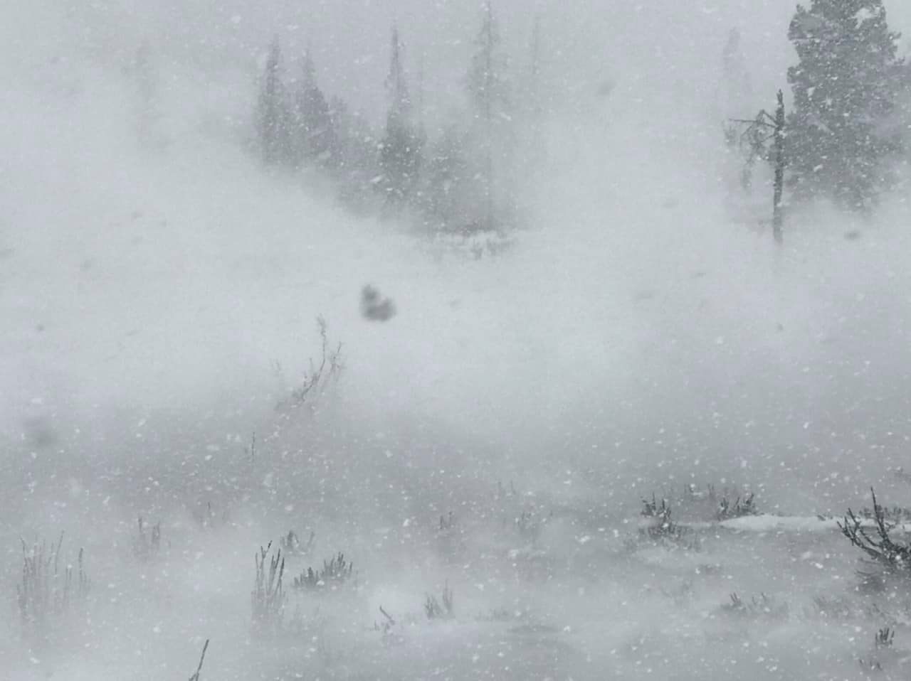 6 to 12 inches of snow falls on East Troublesome Fire, suppresses fire activity