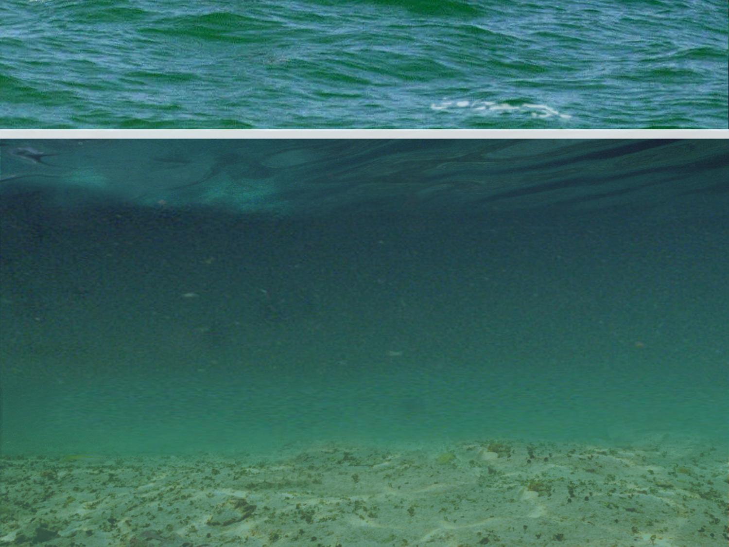 Drowning