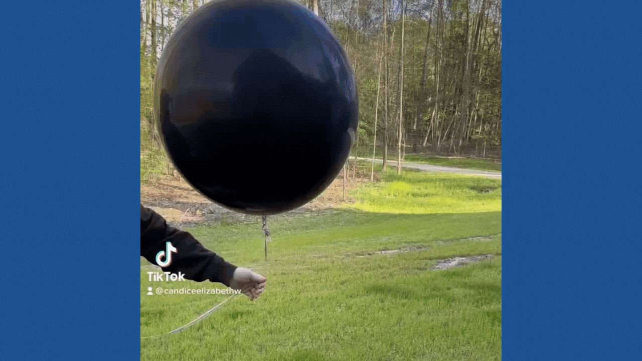 Untitled design (1).gif