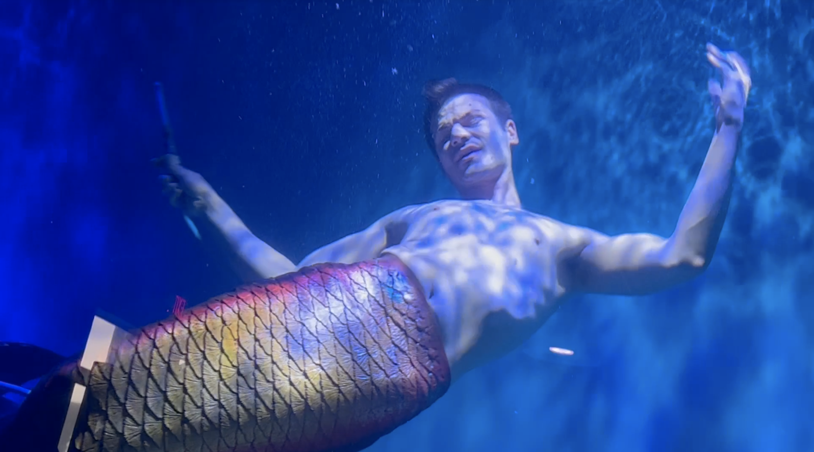 Mertailor's Mermaid Aquarium Encounter