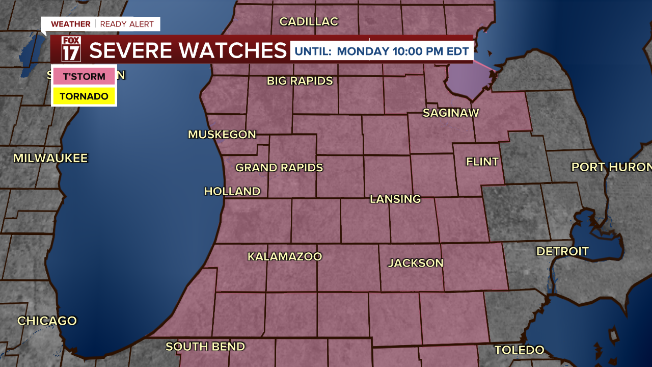 SEVERE THUNDERSTORM WATCH
