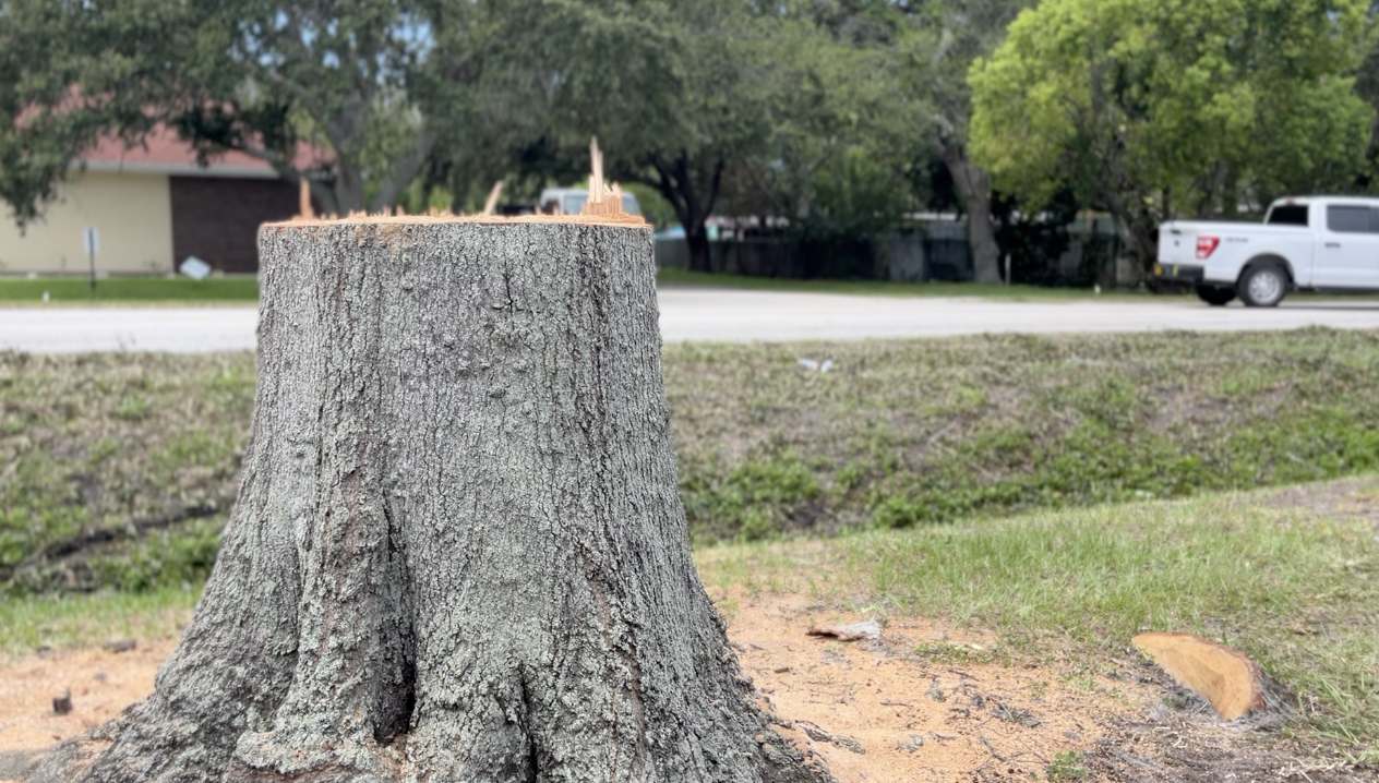 Screen Shot 2023-07-13 at 6.58.46 PM.png