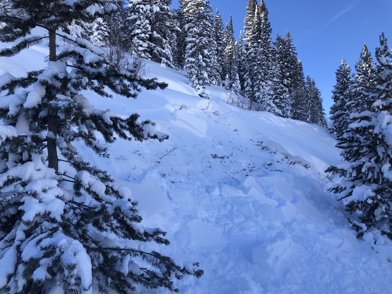 Avalanche on Mount Emmons in Gunnison region_CAIC