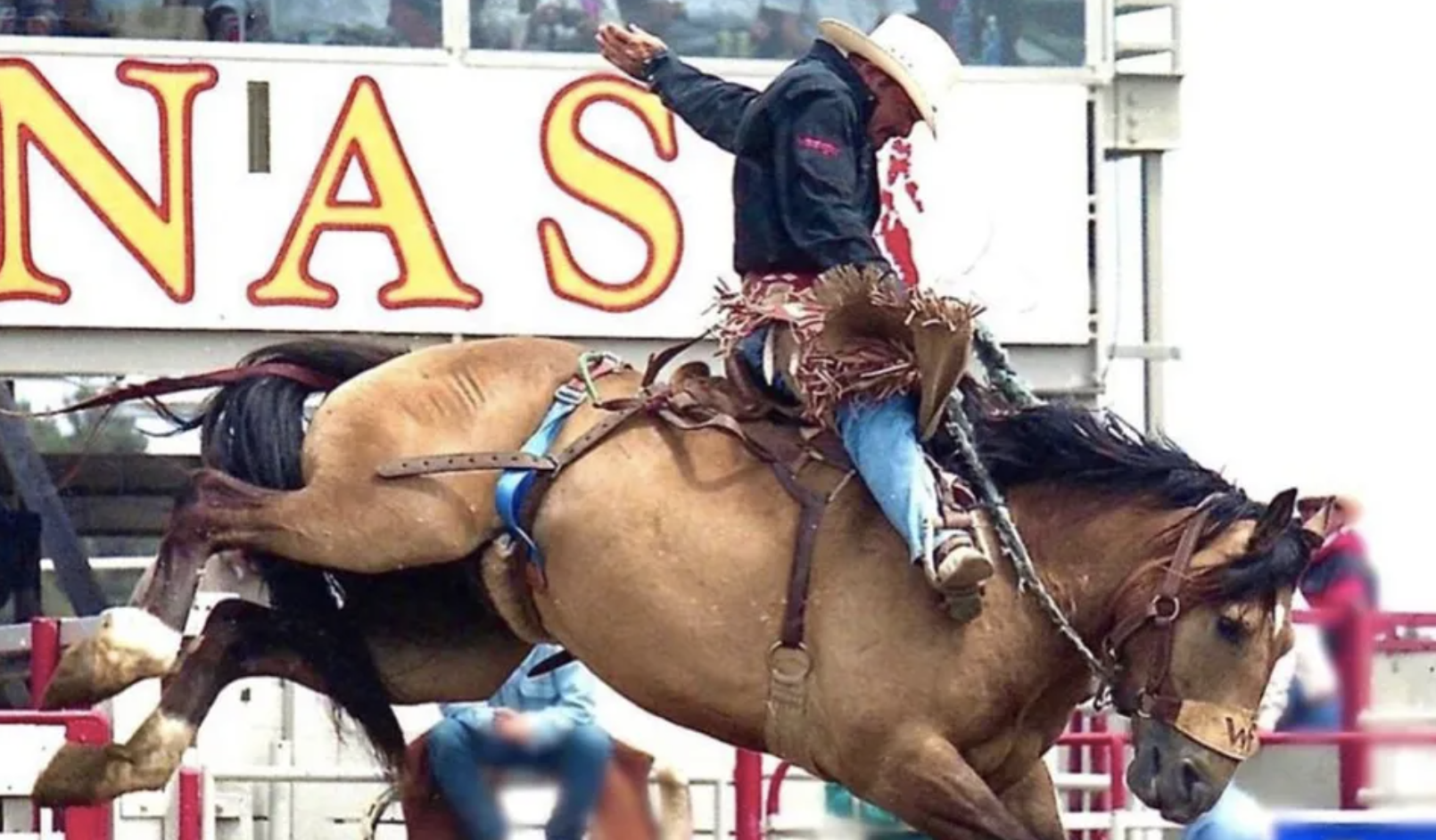 PRCA Derek Clark.png