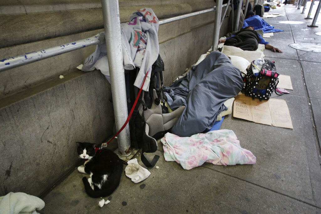 New York Daily Life